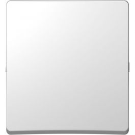 TIPKA navadna za stikalo 2P TEM