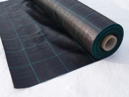 Agrotekstil - zaščitna ponjava pred plevelom 2,10x100m, 100 gr, črna zelene črte / 1 kos =100 TM