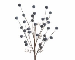 Veja okrasna borovnice, 60 cm, Kaem.