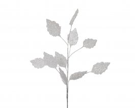 Veja okrasna bela, 70 cm, Kaem.