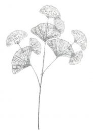 Veja dekorativna gingko, srebrna, 70cm, Bizz.