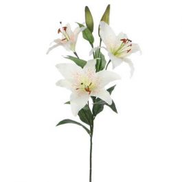 Cvetje umetno Mica, crem lilija, 75 cm, Edel.