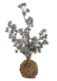 Drevešček novoletni kokedama 50 cm,  Bizz.