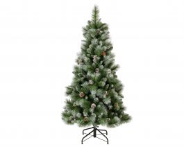 Smreka novoletna s storži 150 cm Norwich, Kaem.