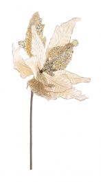 Cvetje umetno božična zvezda champagne 50 cm, Bizz.