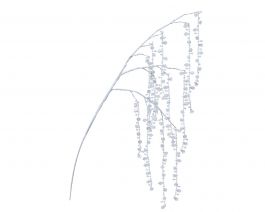 Veja z kristalčki 80 cm, Kaem.