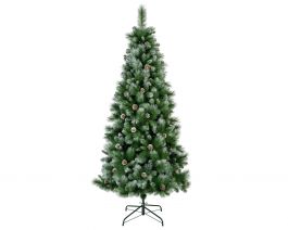 Smreka novoletna s storži 240 cm Norwich, Kaem.