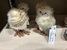 Figura božična sovica rjava 17 cm, Koo.