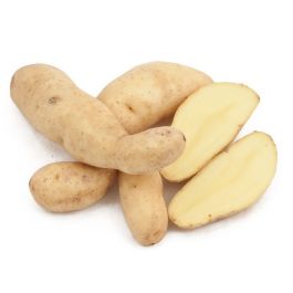 Krompi semenski - KIFELJČAR BELI