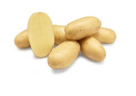 Krompir semenski - ZGODNJI, SV.RUMENO meso