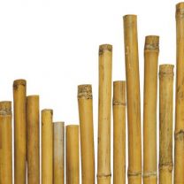 Opora bambus 210 cm, fi 26-28 mm