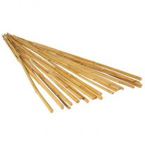 Opora bambus 180 cm, fi 20-22 mm, Cho.
