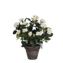 Cvetje umetno Mica, vrtnica bela, v 33 x š 25 cm, Edel.