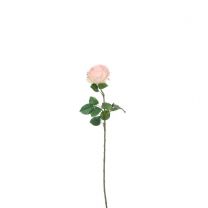 Cvetje umetno Mica, vrtnica, marelična, 69 cm, Edel.