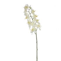 Cvetje umetno Mica, orhideja, bela, 71 cm, Edel.
