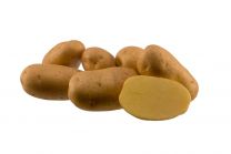 Krompir semenski AGRIA A 35/55, 3,0 kg, KZC