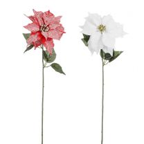 Cvetje umetno Mica, božična zvezda reča/bela 65 cm,Edel.