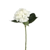 Cvetje umetno Mica hortenzija bela 51 cm, Edel.