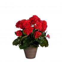 Cvetje umetno Mica pelargonija rdeča v loncu 41 cm, Edel.