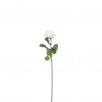 Cvetje umetno Mica, vrtnica bež 69 cm, Edel.