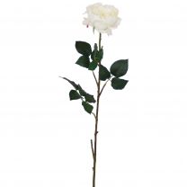 Cvetje umetno Mica vrtnica bež  77 cm, Edel.