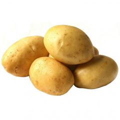 Krompir semenski KENNEBEC  A 35/55, 3,0 kg, KZC