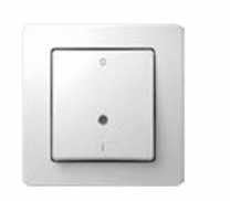 STIKALO dvopolno 16AX 250V PW IN 03 TEM SE22PWIM03-B