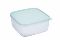 Doza za shranjevanje kvadratna HOME GREEN EKO iz sladkornega trsa 2,60l 21x21x10cm  različne barve (