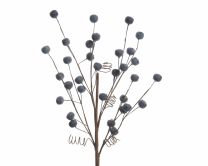 Veja okrasna borovnice, 60 cm, Kaem.