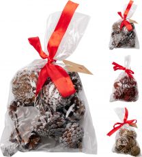 Storži zasneženi dekorativni 100 gr, Koop.