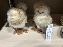 Figura božična sovica rjava 17 cm, Koo.
