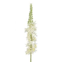 Cvetje umetno Mica, eremurus bela 90 cm, Edel.