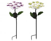Solarna lučka rožica rumena/vijola 50 cm, Kaem.
