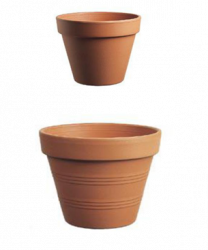 Lonec gl. Standard 01 fi 5cm Inter.