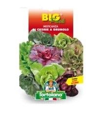Vrtnine BIG PACK