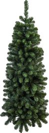 Smreka Pencil Green 300 cm, Koo.