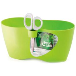 Lonček okrasni LIMES DUBLO-LIME, Pros