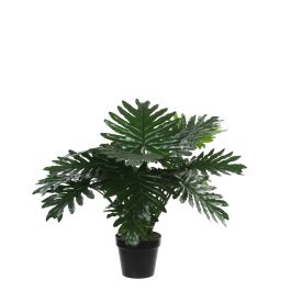 Filodendron umetna Mica, v 60 x š 80 cm, Edel.