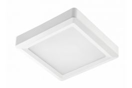 Panel LED nadgradni LOUIS 24W 4000K kvadraten IP54