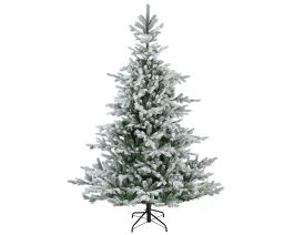 Smreka novoletna zasnežena 180 cm, Grandis Fir, Kaem.