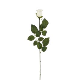 Cvetje umetno Mica vrtnica Venus bež 64 cm, Edel.