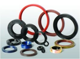 TESNILO GUMI EPDM DN40