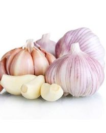 ČESEN SEMENSKI RDEČI 500g