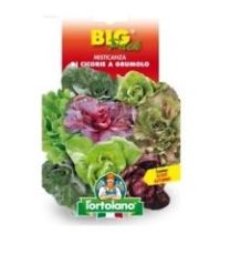Vrtnine BIG PACK