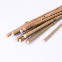 OPORA BAMBUS 60 CM