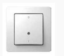 STIKALO dvopolno 16AX 250V PW IN 03 TEM SE22PWIM03-B