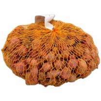 ČEBULČEK RED BARON 14-21 500 g, Roko