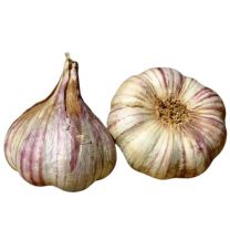 ČESEN RDEČ GERMIDOUR 500 g, Roko
