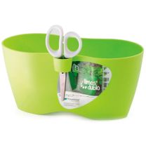 Lonček okrasni LIMES DUBLO-LIME, Pros