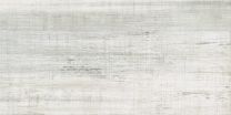 ASPEN GREY 30X60 R10 PLOŠČICA GRES 